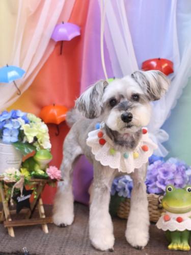 20230627来夢ちゃん